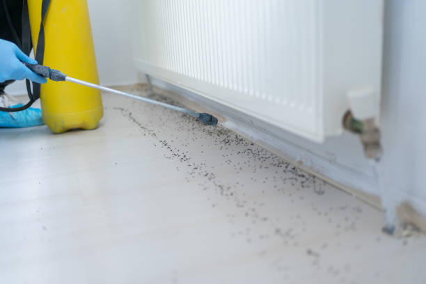 Best Emergency Pest Control  in Columbia, KY