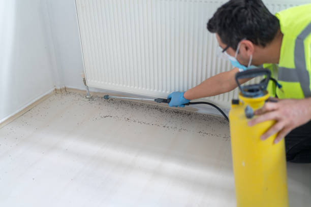 Best Bed Bug Extermination  in Columbia, KY