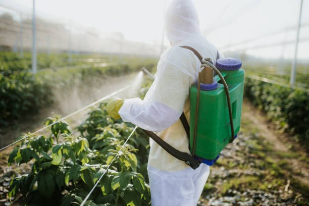 Flea Control Services in Columbia, KY